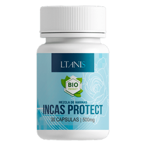 Incas Protect